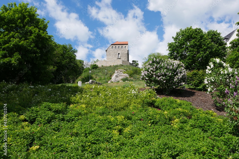 Kurpark und Hausmannsturm Bad Frankenhausen Kurpark und Hausmannsturm Bad Frankenhausen