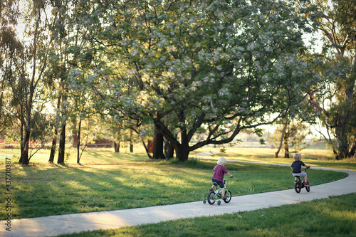 Two little boys riding bike along walking track in pretty Australian bush setting at sunset