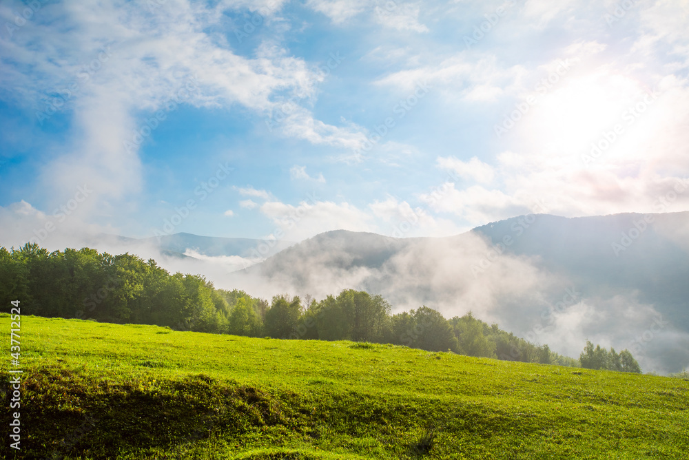meadow covered with grass on a background of morning fog in the mountains. Sunrise. Nature landscape.