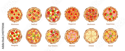 Set of Pizza Icons, Mushroom, Seafood, Pepperoni and Margarita, Mexican and Four Seasons. Cappriciosa, Cheese and Hawaii