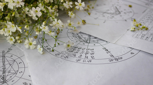 Fotografia, Obraz Printed astrology charts  with small, white, and fragile spring flowers in the b