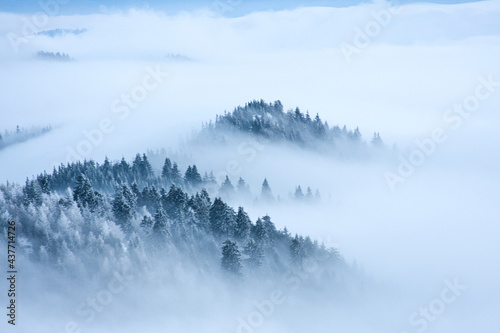 winter mountain landscape clouds and woods