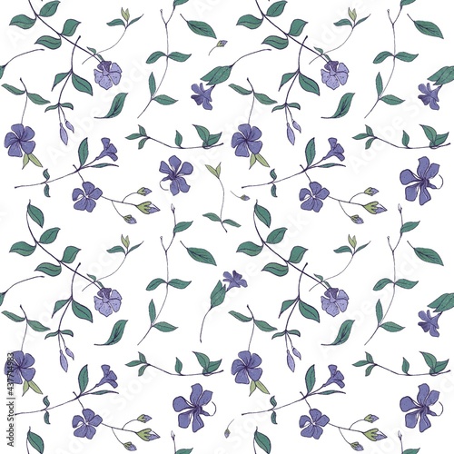 seamless floral pattern with perwinkle flowers photo