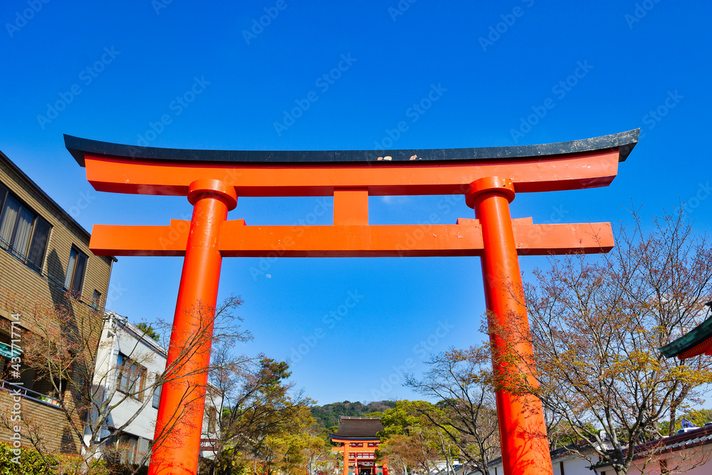 京都 伏見稲荷大社 青空に映える美しい朱色の鳥居 (日本京都府京都市)Kyoto Fushimi Inari Taisha Shrine, beautiful vermilion torii gate that shines against the blue sky (Kyoto City, Kyoto Prefecture, Japan) 京都 伏見稲荷大社 青空に映える美しい朱色の鳥居 (日本京都府京都市)Kyoto Fushimi Inari Taisha Shrine, beautiful vermilion torii gate that shines against the blue sky (Kyoto City, Kyoto Prefecture, Japan)