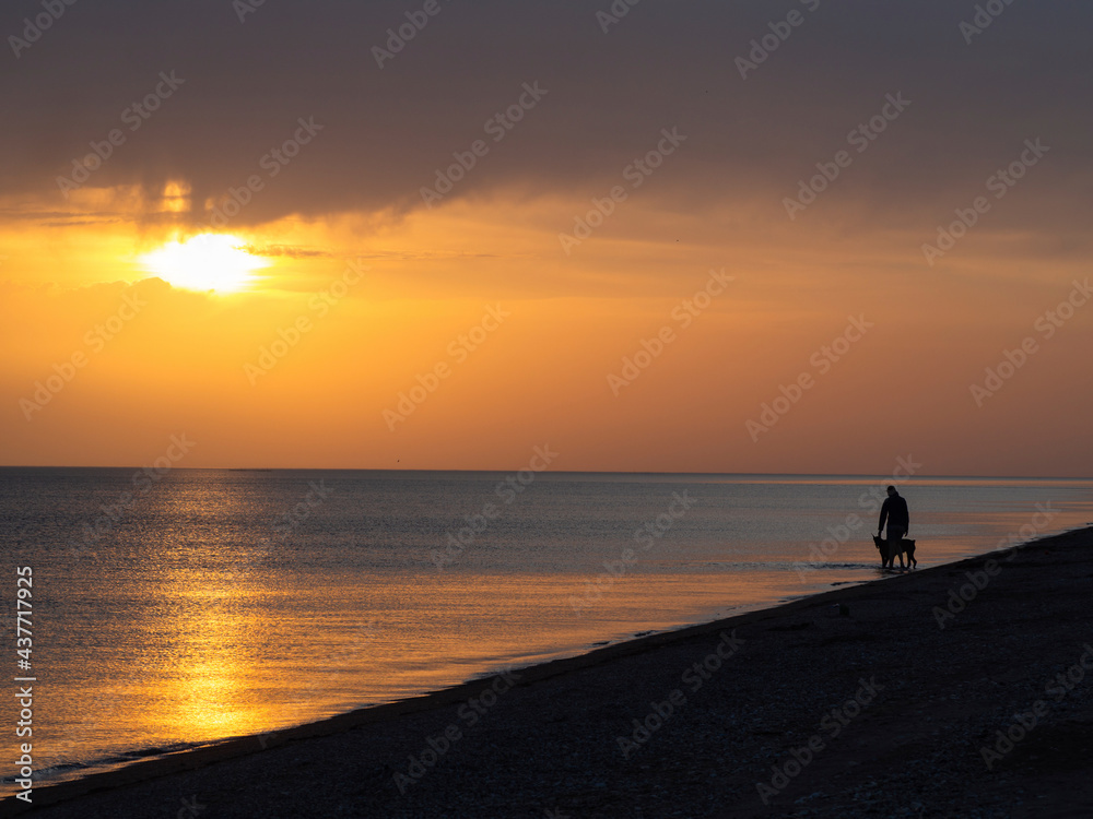 Stunning sunset over the sea on the shore of which a girl walks with a dog. The sea water glistens with gold. Silhouettes of a man and an animal at the water's edge. The sky and sea are yellow orange