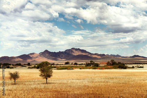 Desert landscape in Namibia.