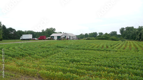 Fotografie Ville de Syracuse aux États-Unis