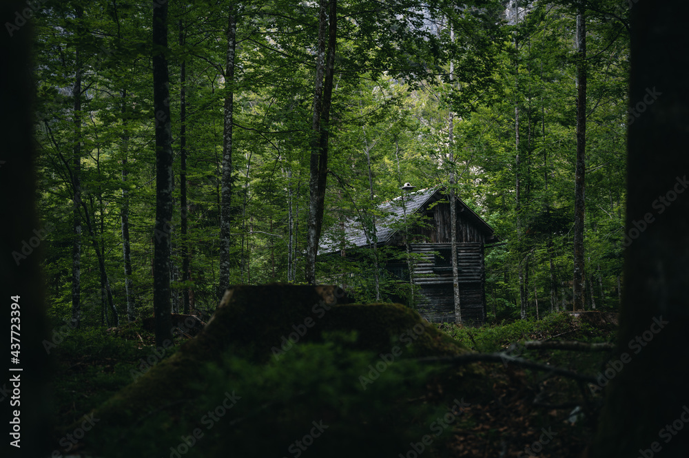 cabin in the woods Austria - Upper Austria - Salzkammergut