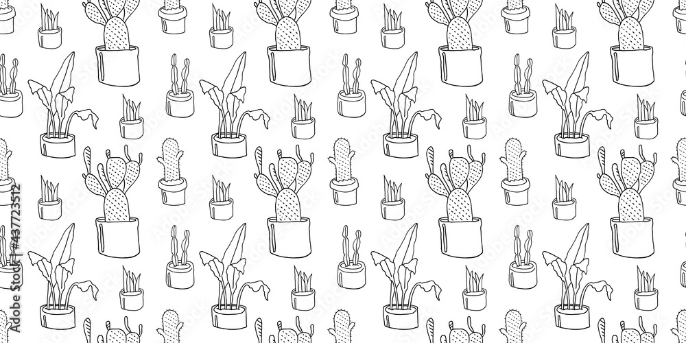 Indoor plant pattern, cactus, aloe and fern. Doodle style drawing. Vector EPS 10