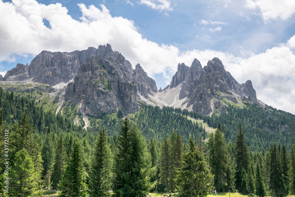malerisches Alpental mit Tannen im Vordergrund
