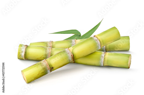 Fresh sugar cane with leaves  isolated on white background. photo