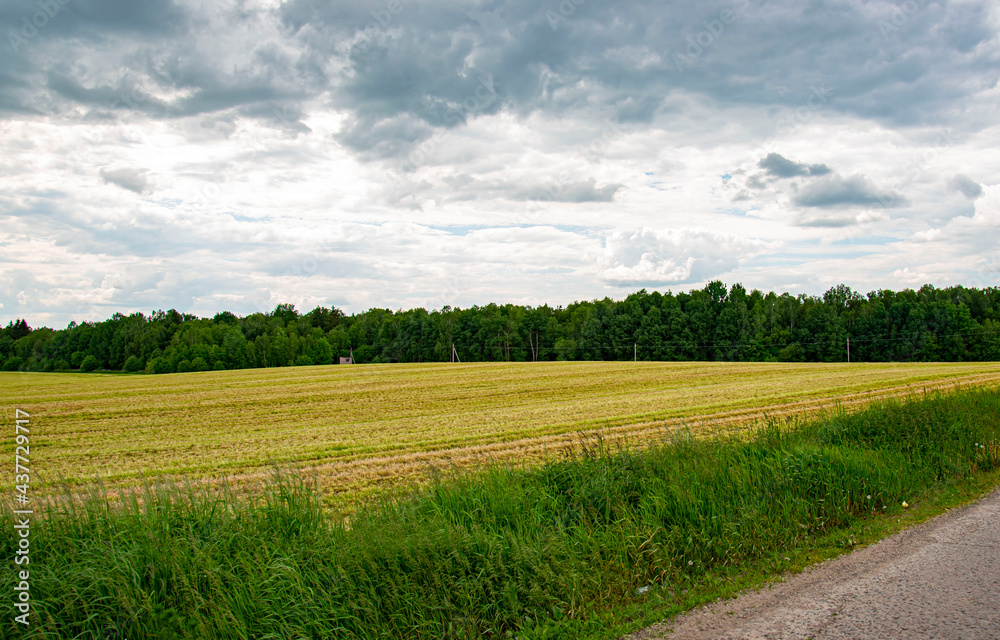 Obraz premium field and sky with clouds