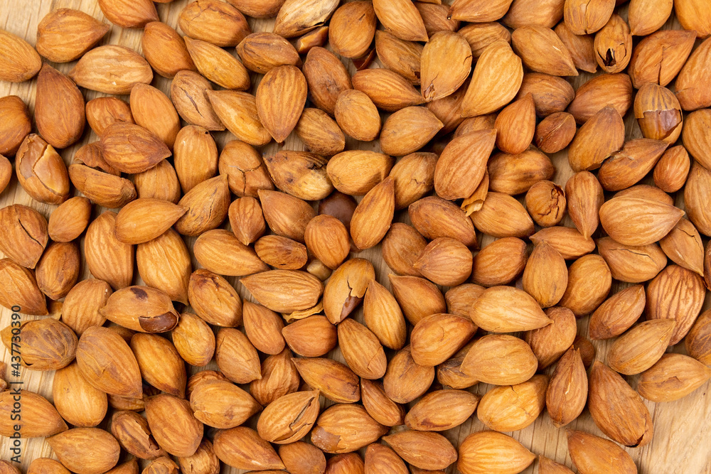 Texture from apricot seeds close-up. used for the manufacture of medicines Texture from apricot seeds close-up. used for the manufacture of medicines