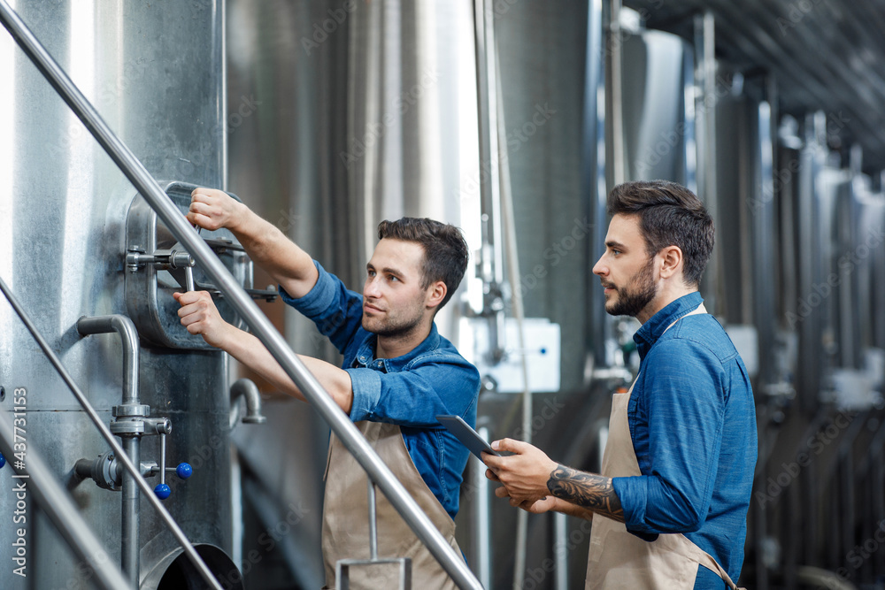 Craft beer production at plant. Fermentation of drink, small family business and brewery production