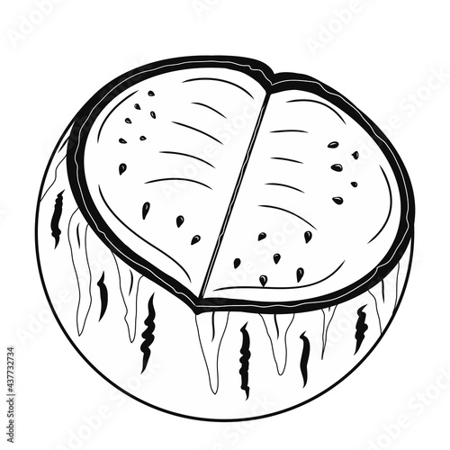 Watermelon fruit icon. Creative illustration. Black sketch. Idea for decors, logo, patterns, papers, covers, gifts, damask, summer and autumn holidays, organic food themes. Isolated vector art.