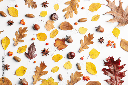 Beautiful autumn composition on white background