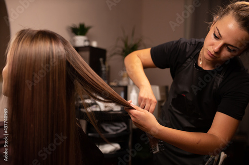 coloring hair, Hair dyeing. Young professional hairdresser applies hair dye to a female client.