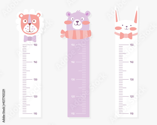 Kids Meter Wall with Cute Animals Set, Stadiometer for Little Children Vector Illustration