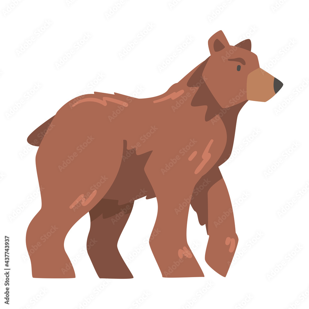 Side View of Brown Bear, Large Wild Predator Mammal Animal Cartoon Vector Illustration Side View of Brown Bear, Large Wild Predator Mammal Animal Cartoon Vector Illustration