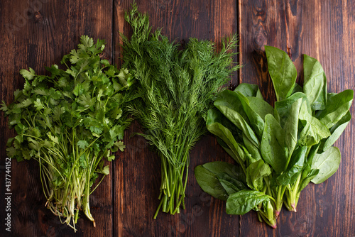 Three bunches of fresh greens of dill, spinach, cilantro on a dark wooden background, rustic style, healthy raw food concept.