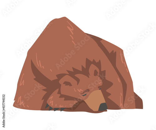Sleeping Brown Bear Lying on the Ground, Large Wild Predator Mammal Animal Cartoon Vector Illustration