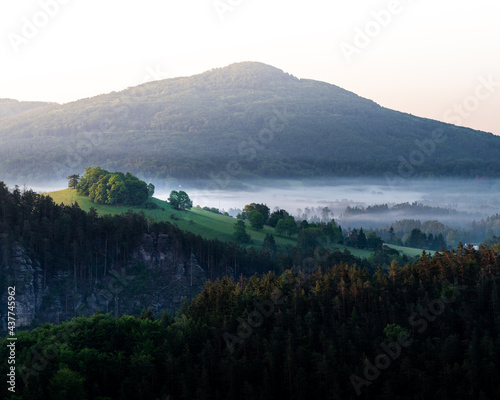 Mountain with fog in the valley and hill with trees during sunrise viewed from Mariina skála (Marienfels), Bohemian Switzerland, Czechia