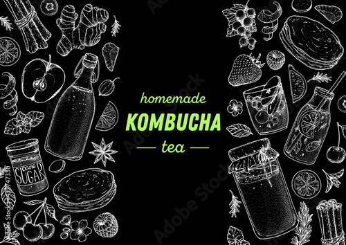 Kombucha tea and ingredients for kombucha sketch. Hand drawn vector illustration. Kombucha drink. Tea mushroom, tea fungus, or Manchurian mushroom. Homemade kombucha