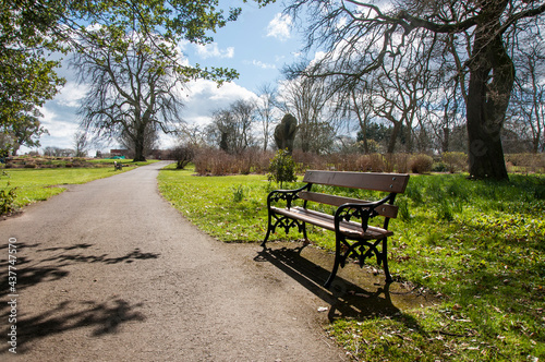 Photography Dublin's Botanic garden