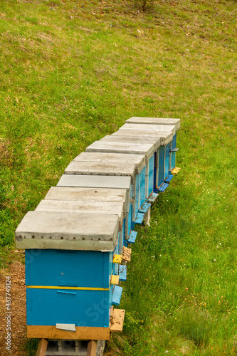 Small apiary in village Otilovici, Montenegro