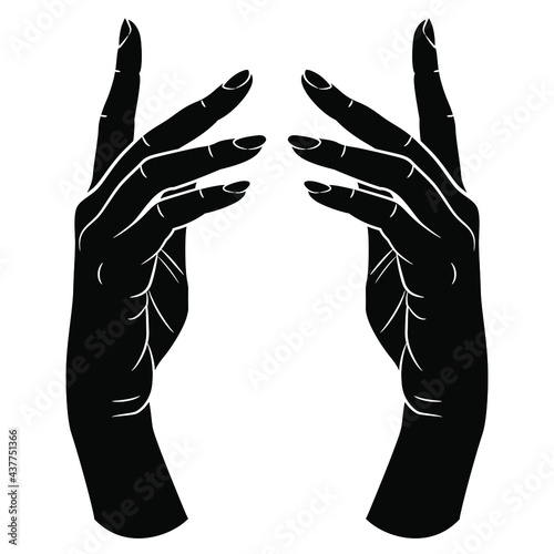 Two beautiful raised up female hands in elegant gesture. Black and white negative silhouette.