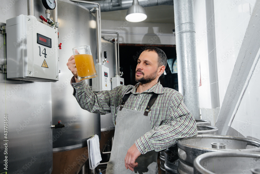 A young bearded brewer conducts quality control of freshly brewed beer in the brewery.