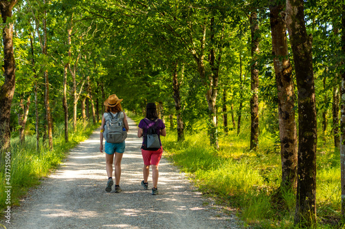 Two friends walking along the beautiful path between trees in the Urdaibai marshes, a Bizkaia biosphere reserve next to Mundaka. Basque Country