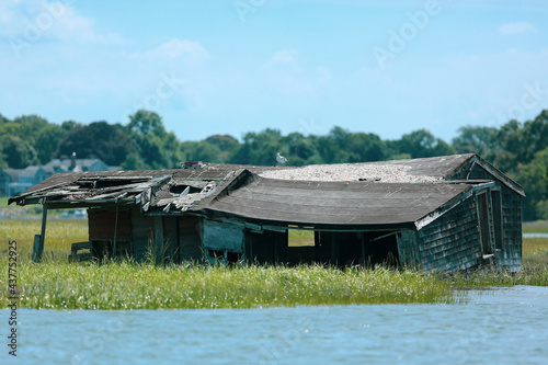 Fotografie, Tablou Dilapidated shack