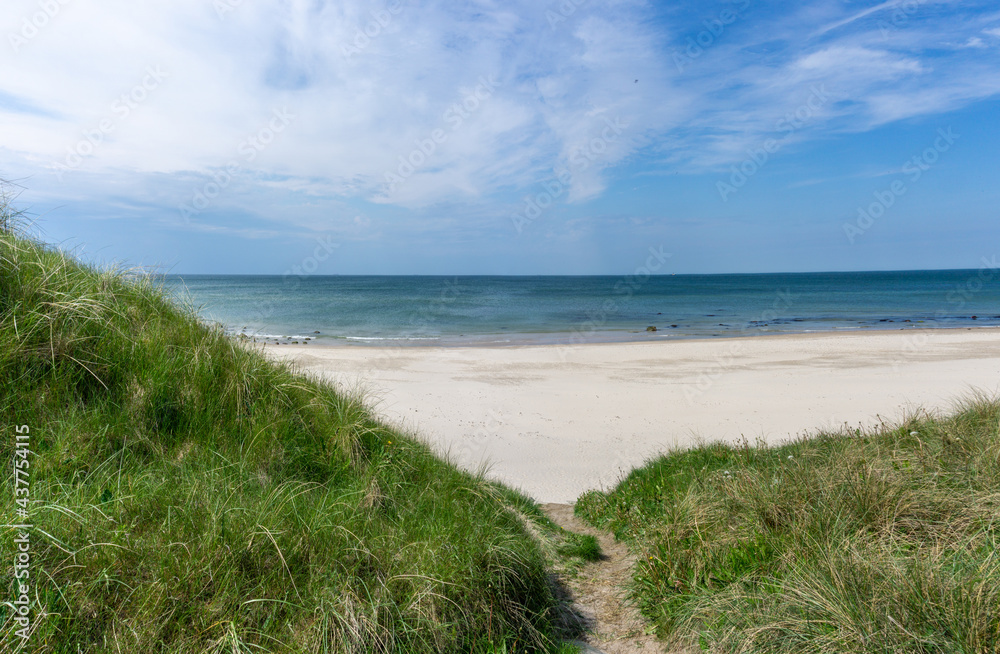 hiking trail leads through tall grassy sand dunes to a secluded and empty white sand beach with a calm turquoise ocean behind