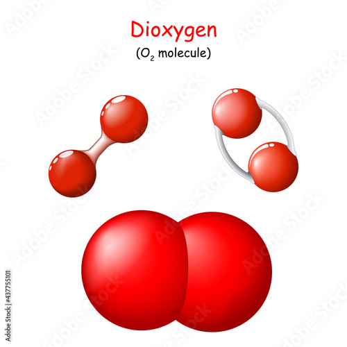 oxygen. Structural Chemical Formula of dioxygen. O2