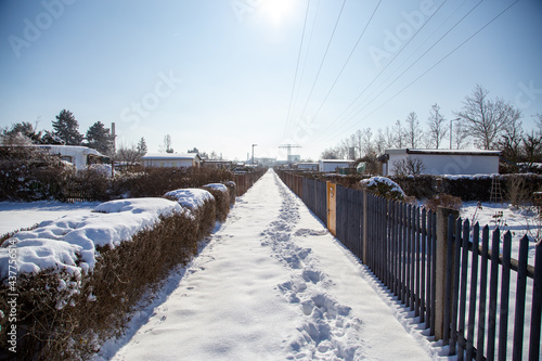 A snowy path in a garden club in winter © DEWI-Stockphotos