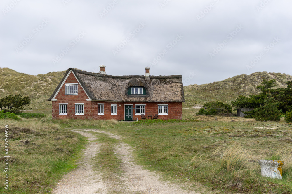 traditional Danish house with thatched reed roof in a coastal sand dune landscape