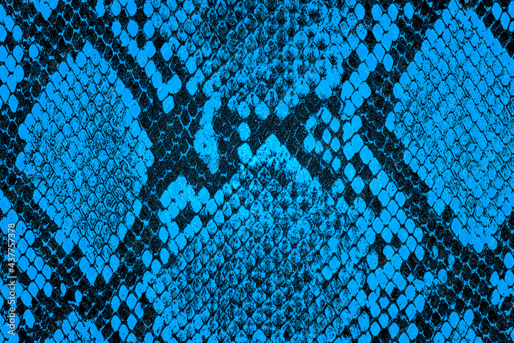 Blue snake skin background. Blue python leather as background. Stock ...
