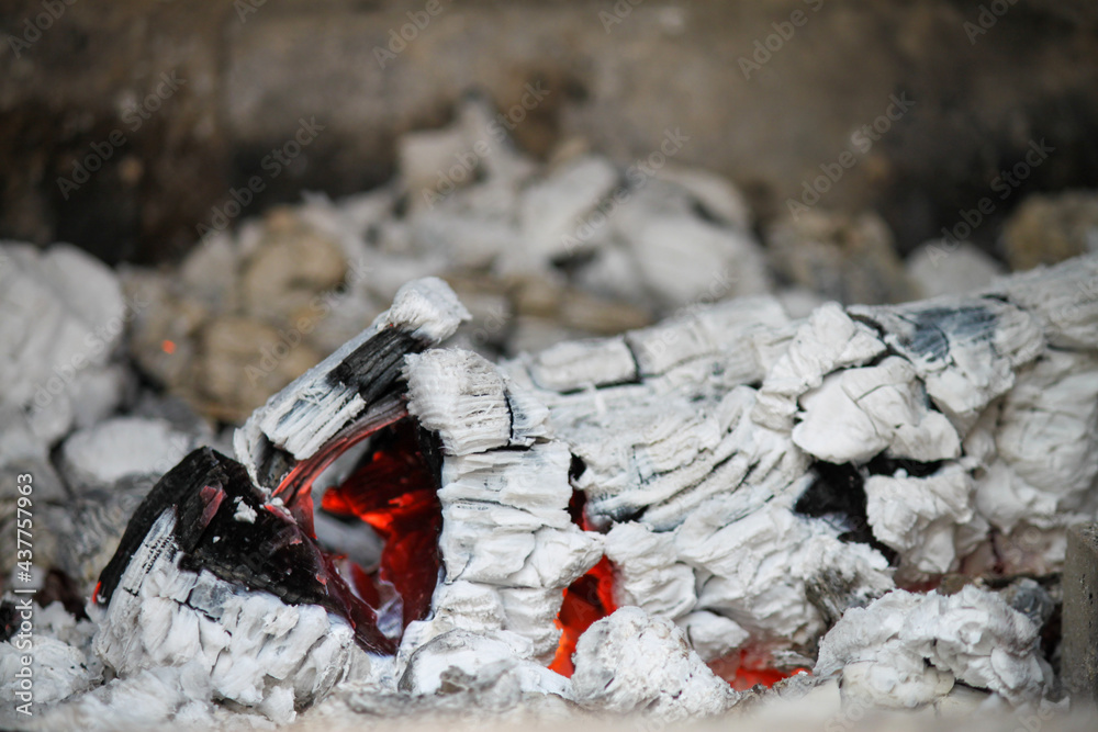 Obraz premium Tronco de leña ardiendo