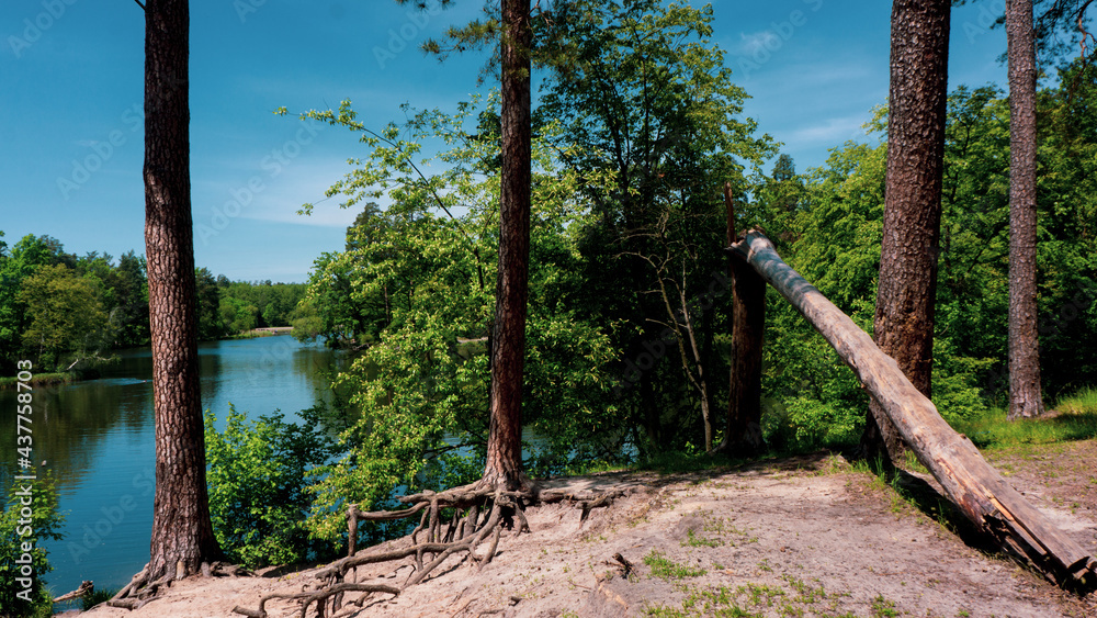 Steep river bank in summer with trees and cliff