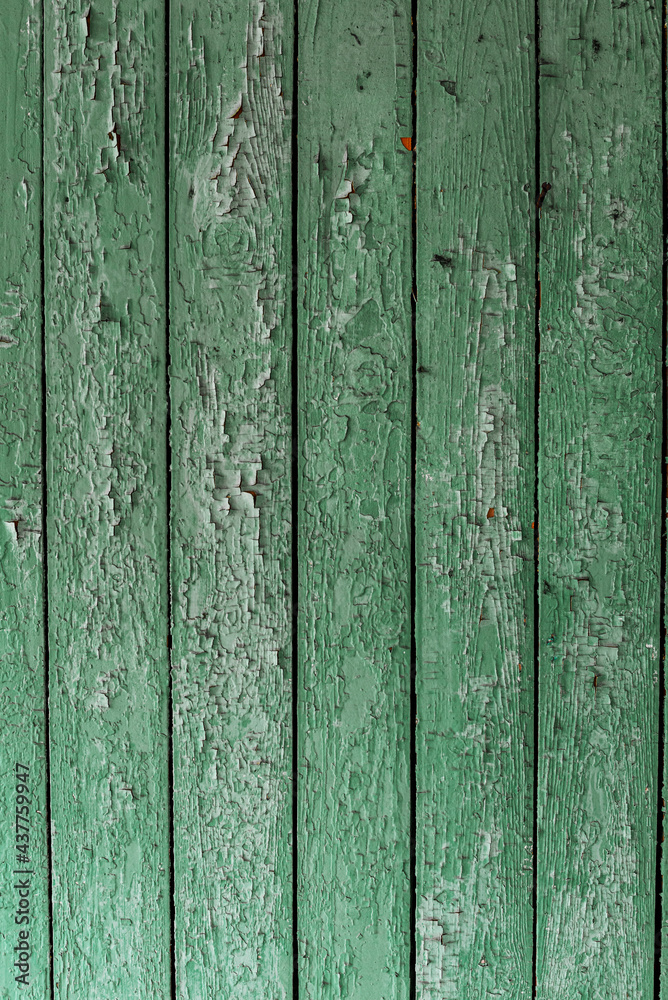 Wood texture covered with peeling green paint Wood texture covered with peeling green paint