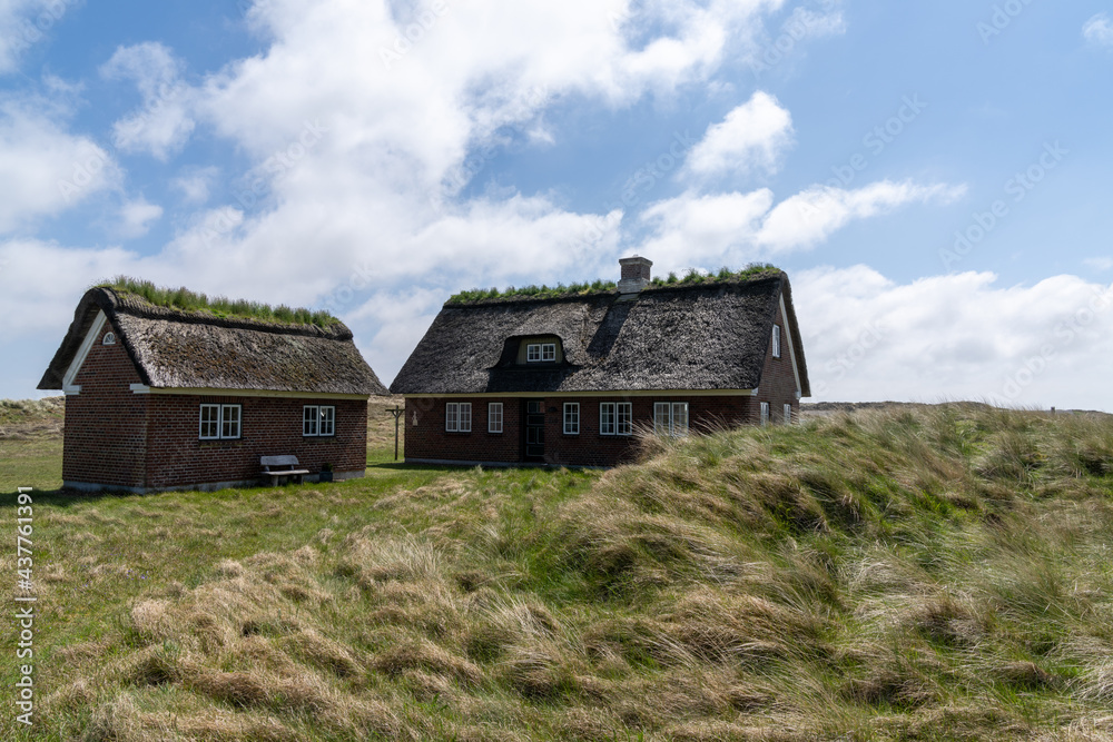 traditional Danish houses with thatched reed roof in a coastal sand dune landscape traditional Danish houses with thatched reed roof in a coastal sand dune landscape
