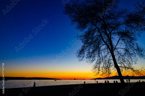 Chilling time after sunset in the beach