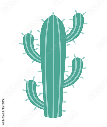 prickly cactus illustration