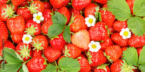 Strawberries berries fruits strawberry berry fruit with leaves and blossoms sliced panoramic view background