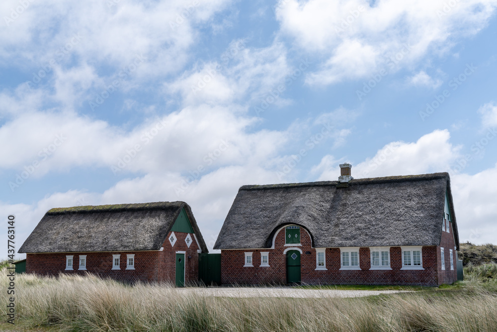 traditional Danish house with thatched reed roof in a coastal sand dune landscape