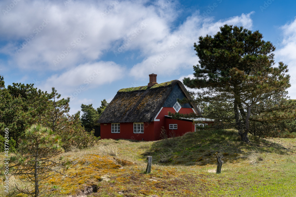 traditional Danish house with thatched reed roof in a coastal sand dune landscape