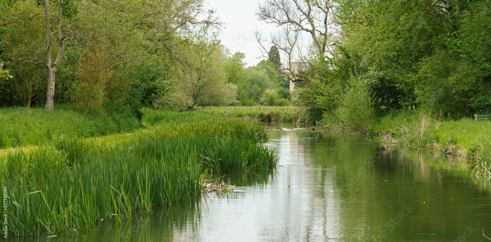a scenic view along the world heritage site river avon in Wiltshire