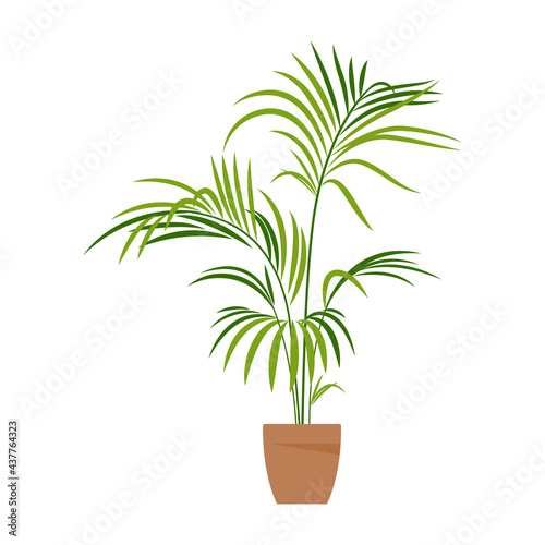 Home plant. Potted plant isolated on white. Flat. Vector illustration.