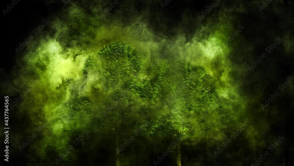 Dark background illustrated with trees and animated with green smoke Dark background illustrated with trees and animated with green smoke